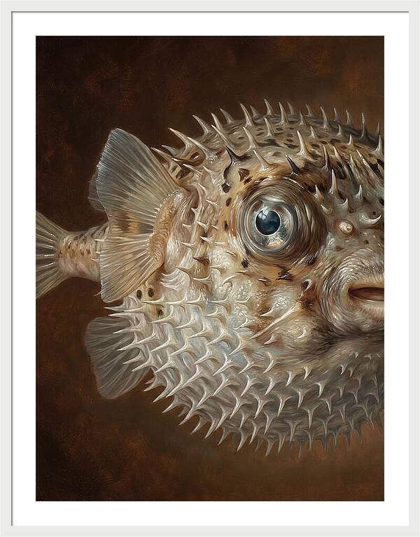 Pufferfish Portraiture