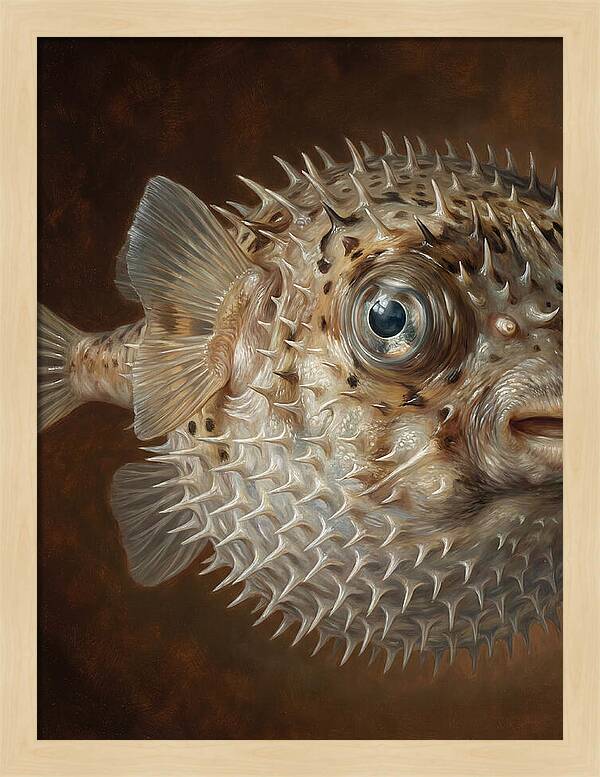Pufferfish Portraiture