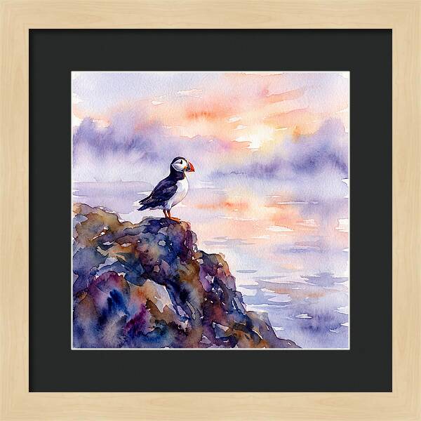 Puffin Along The Coast