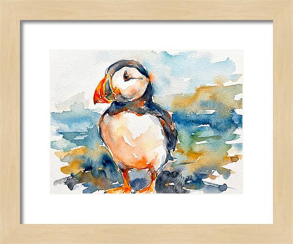Puffin By The Shore
