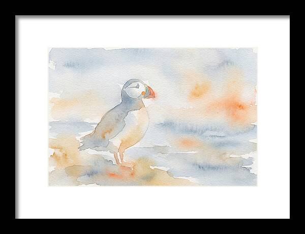 Puffin In Soft Waters