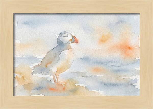 Puffin In Soft Waters