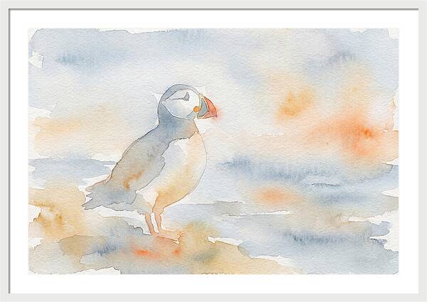 Puffin In Soft Waters