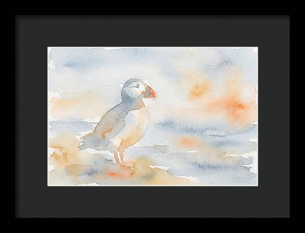 Puffin In Soft Waters