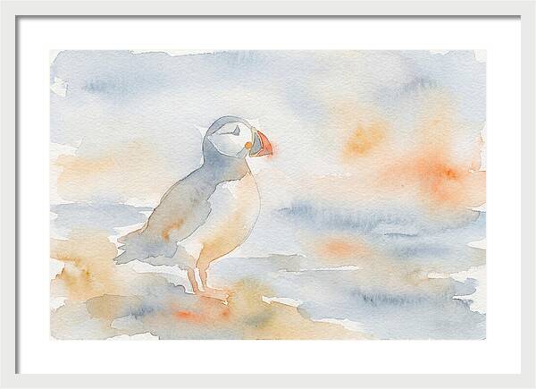 Puffin In Soft Waters