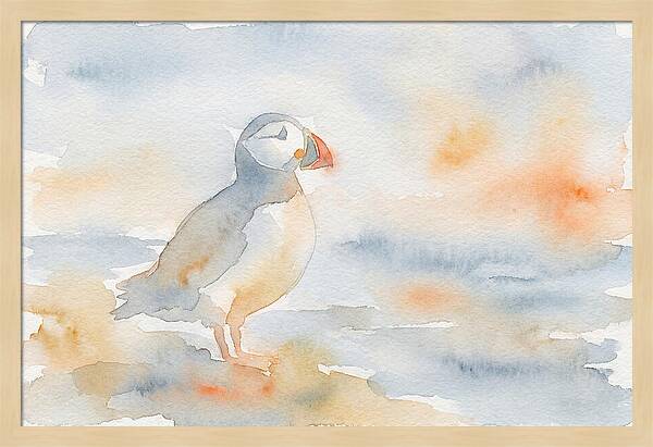 Puffin In Soft Waters