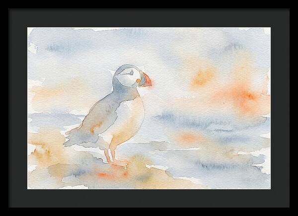 Puffin In Soft Waters