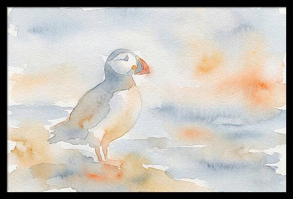 Puffin In Soft Waters