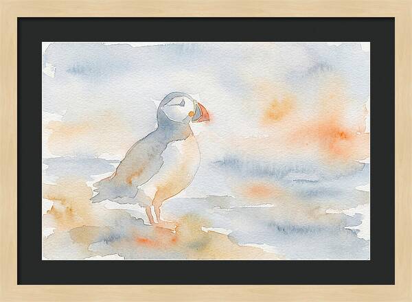 Puffin In Soft Waters