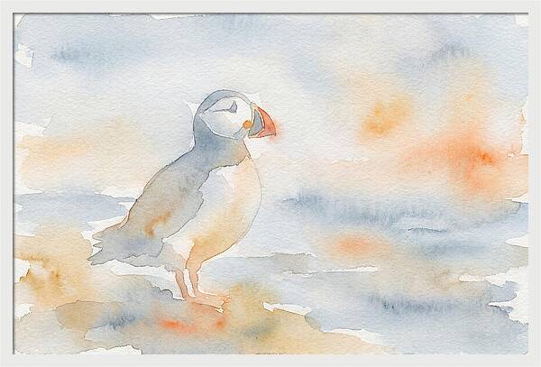 Puffin In Soft Waters