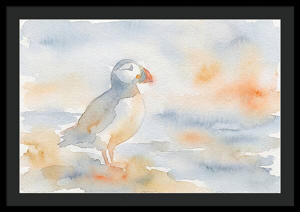 Puffin In Soft Waters