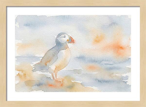 Puffin In Soft Waters