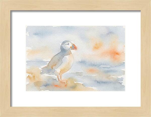 Puffin In Soft Waters