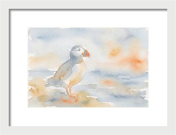 Puffin In Soft Waters