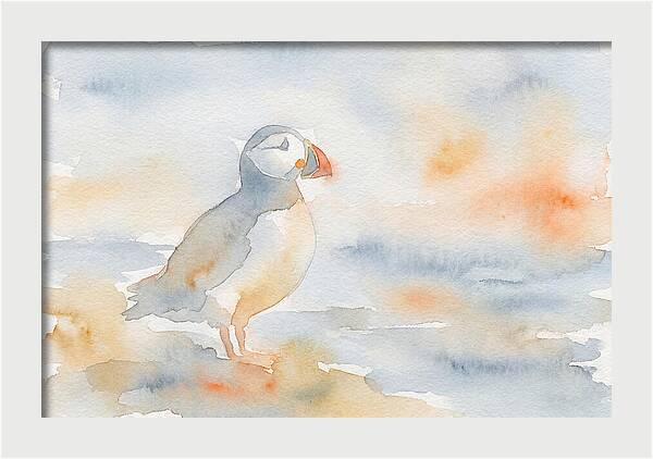 Puffin In Soft Waters