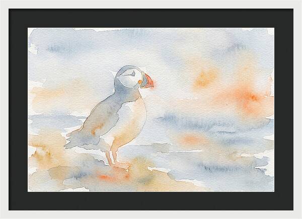 Puffin In Soft Waters
