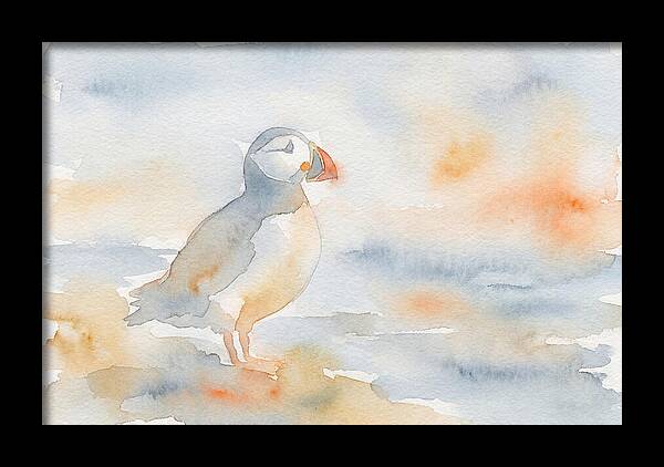 Puffin In Soft Waters