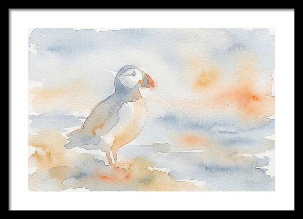 Puffin In Soft Waters