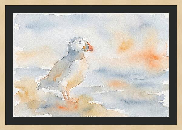 Puffin In Soft Waters