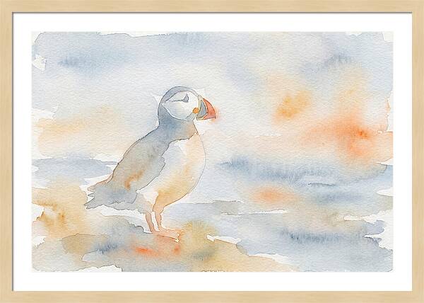 Puffin In Soft Waters