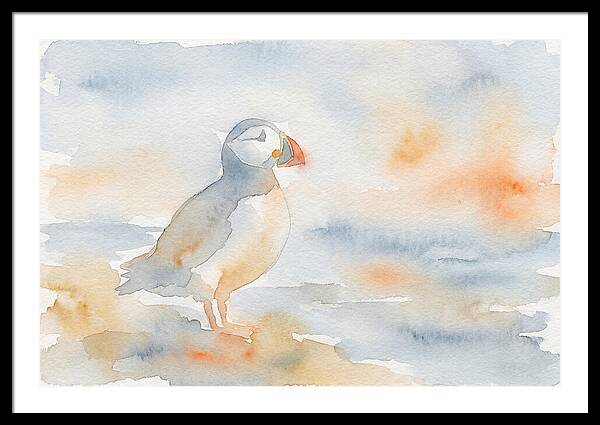 Puffin In Soft Waters