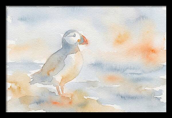 Puffin In Soft Waters