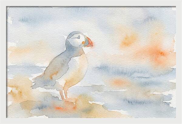 Puffin In Soft Waters