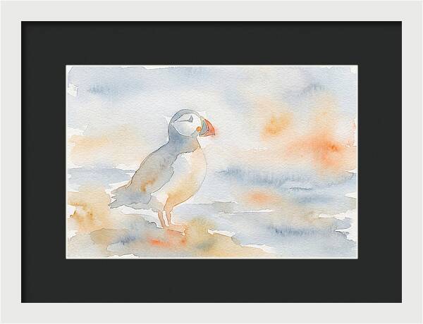 Puffin In Soft Waters