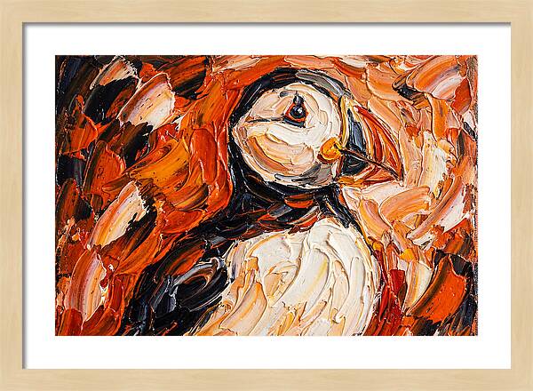 Puffin In Vibrant Colors