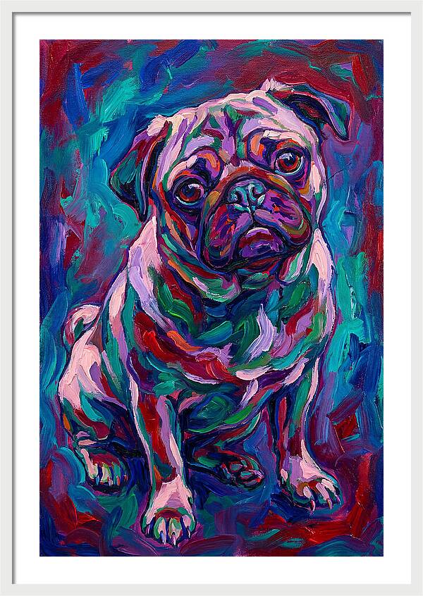 Pug In Vibrant Colors