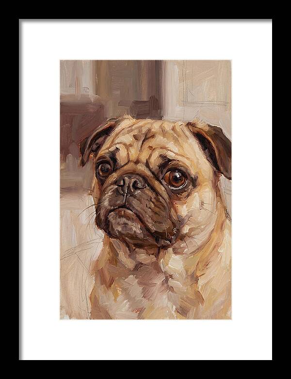 Pug Portrait In Natural Light