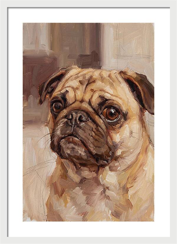 Pug Portrait In Natural Light