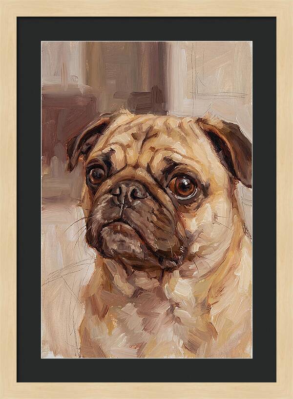 Pug Portrait In Natural Light
