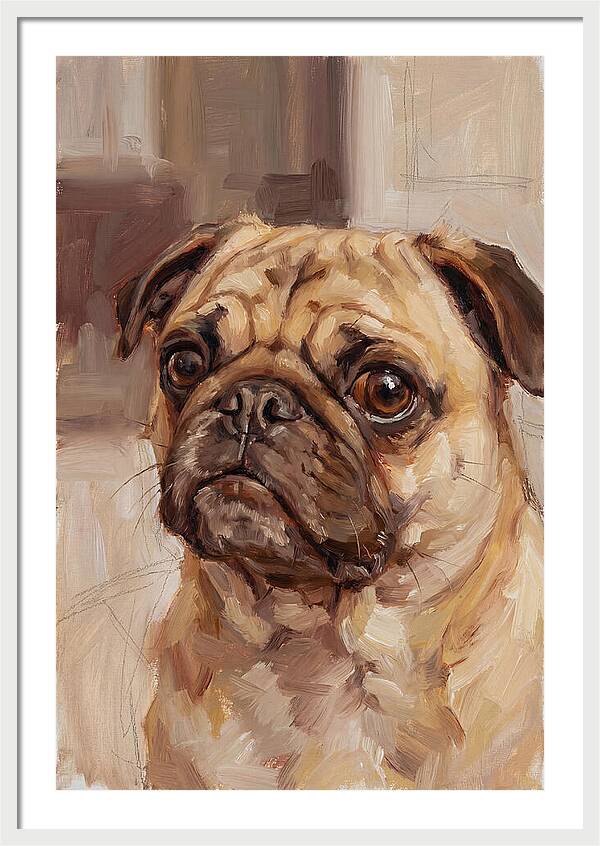 Pug Portrait In Natural Light