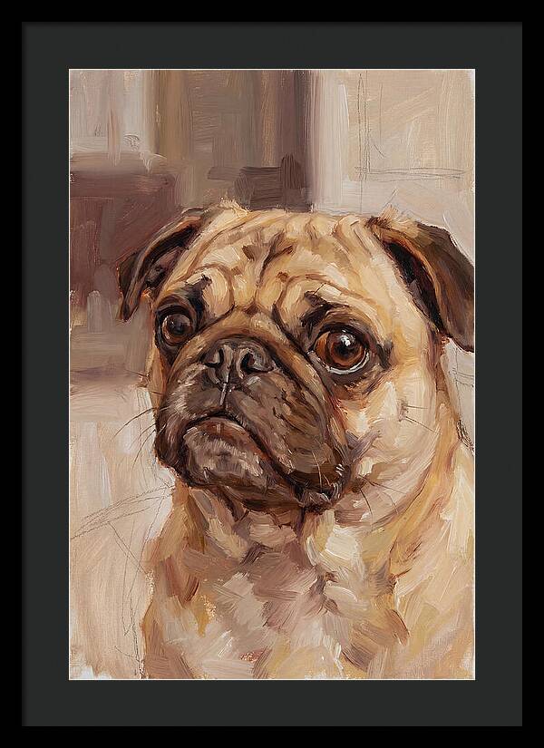 Pug Portrait In Natural Light