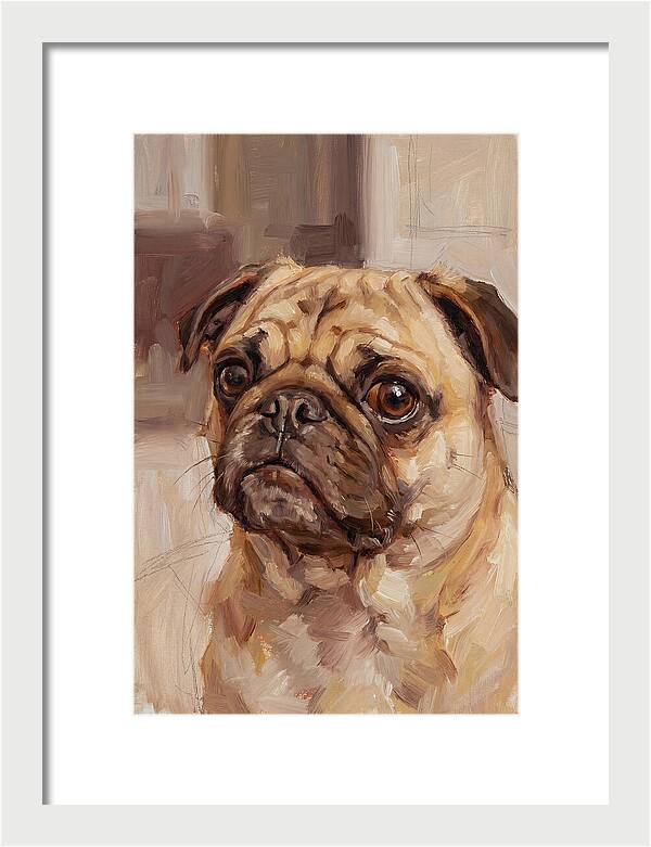 Pug Portrait In Natural Light