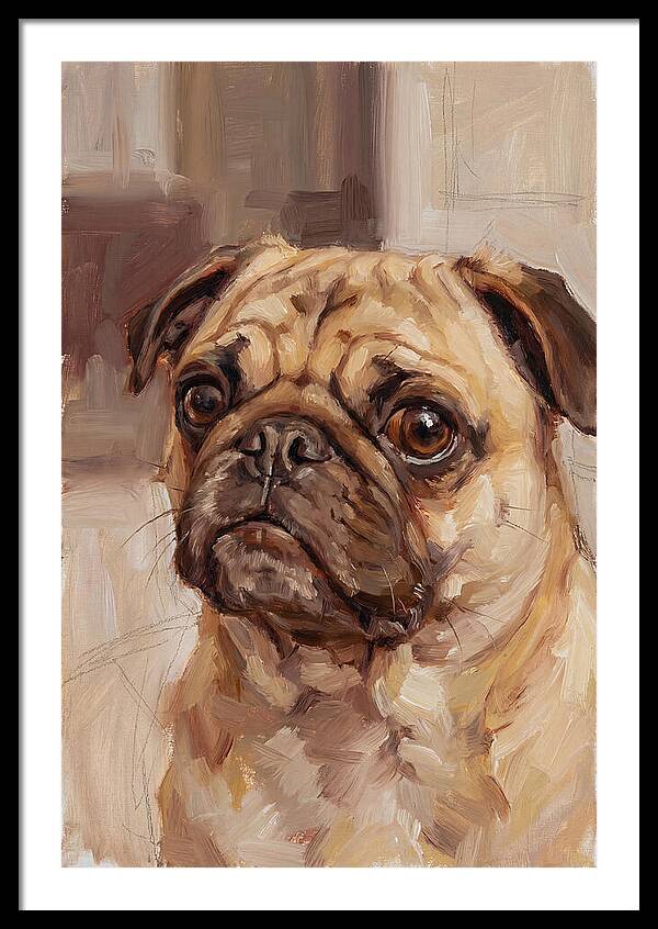 Pug Portrait In Natural Light