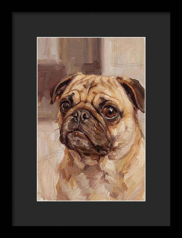 Pug Portrait In Natural Light