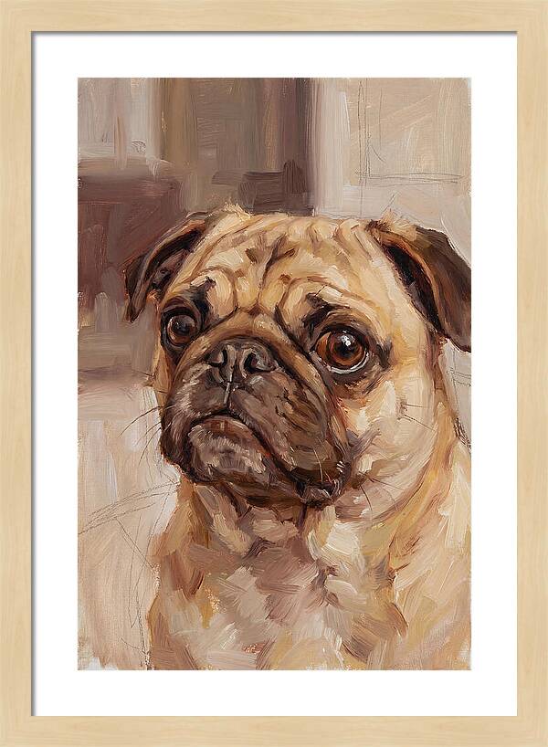 Pug Portrait In Natural Light