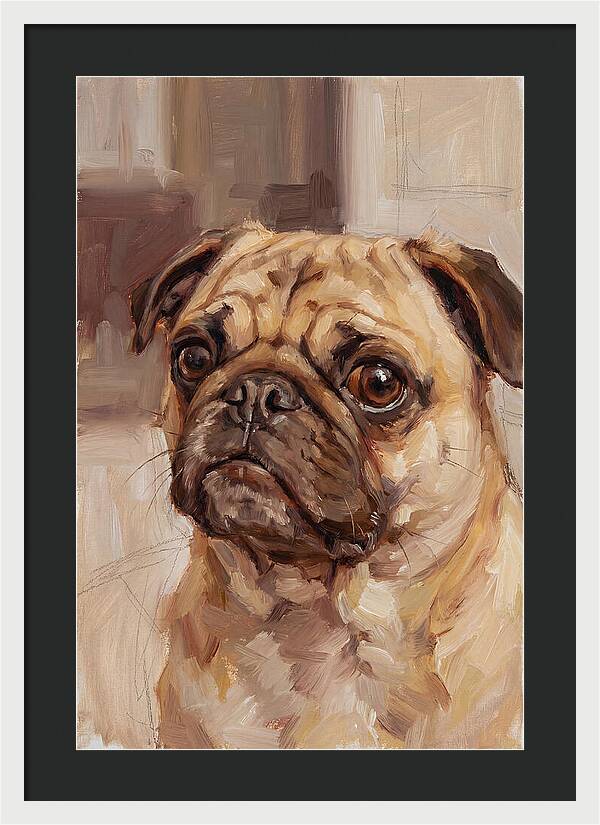 Pug Portrait In Natural Light