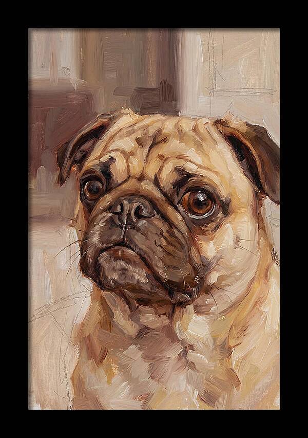 Pug Portrait In Natural Light