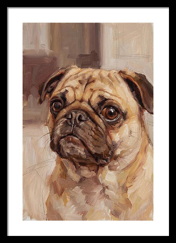 Pug Portrait In Natural Light