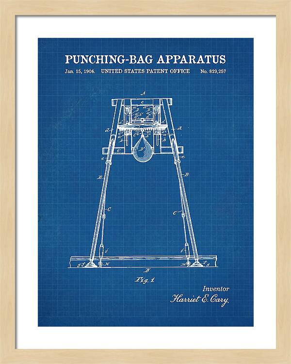 Punching Bag Apparatus Blueprint Patent Us829257a