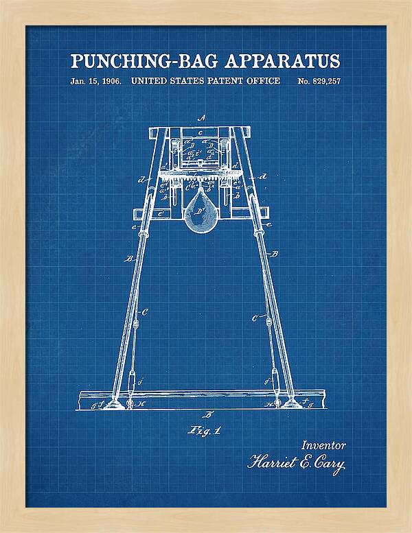 Punching Bag Apparatus Blueprint Patent Us829257a