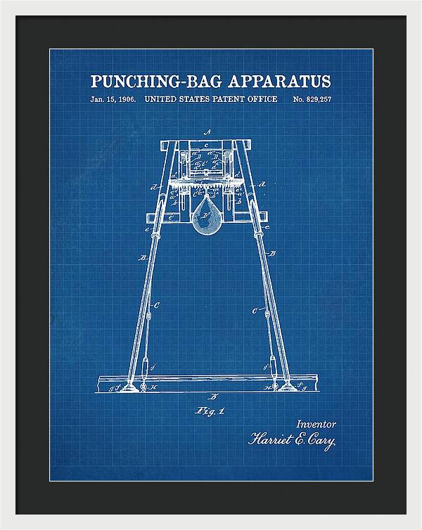 Punching Bag Apparatus Blueprint Patent Us829257a