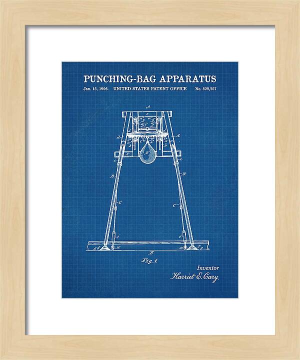 Punching Bag Apparatus Blueprint Patent Us829257a
