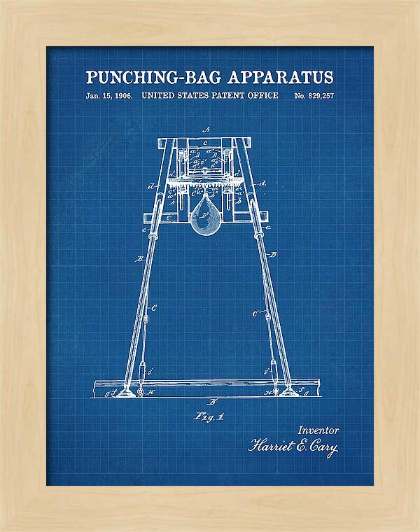 Punching Bag Apparatus Blueprint Patent Us829257a