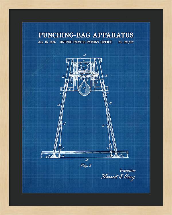 Punching Bag Apparatus Blueprint Patent Us829257a