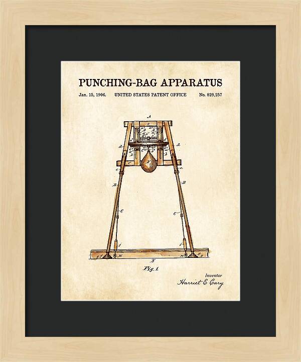 Punching Bag Apparatus Watercolor Patent Us829257a