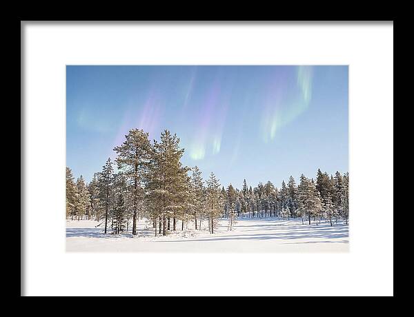 Purple And Green Aurora Over Snow